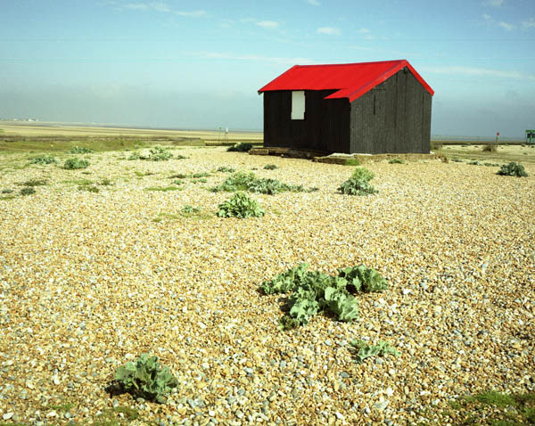 Rye Beach Series #4